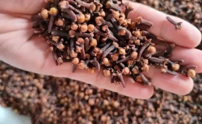 Ground Nuts