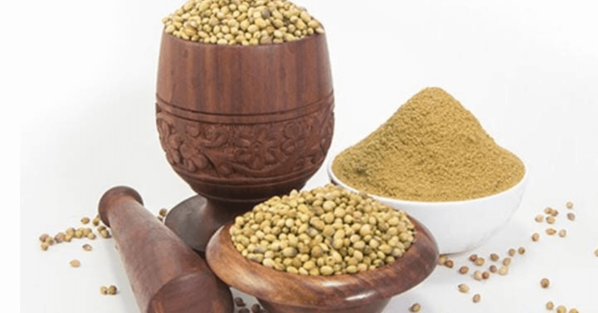 Coriander
