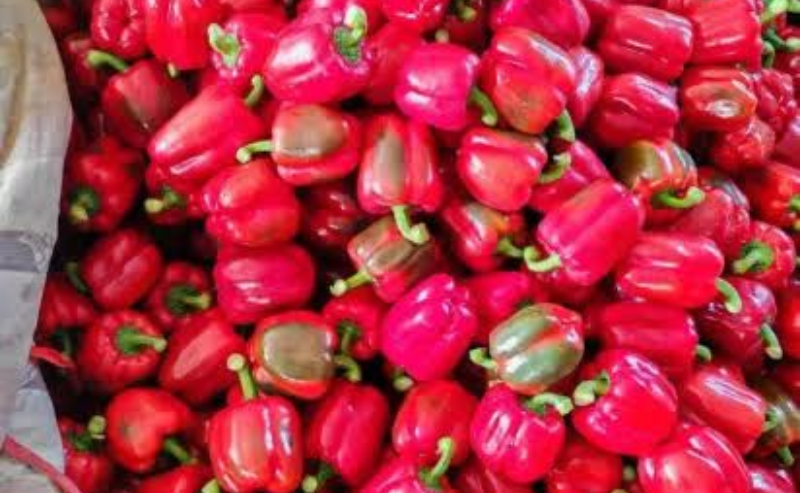 Ground Nuts