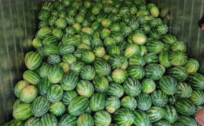 Ground Nuts